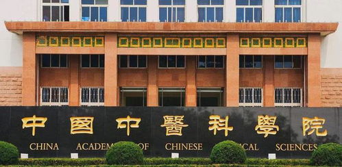 上海10歲男孩坐診看病,求醫(yī)者人山人海,老中醫(yī) 他是華佗轉(zhuǎn)世