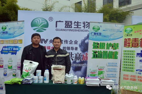 近600人參會(huì)大部分是經(jīng)銷商,榮譽(yù)和掌聲屬于他們