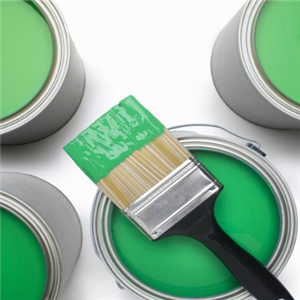 盛新涂料加盟店裝修圖與裝飾涂料展示