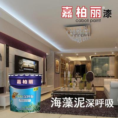 嘉柏麗硅藻泥 打造寧靜健康室內空間的理想選擇